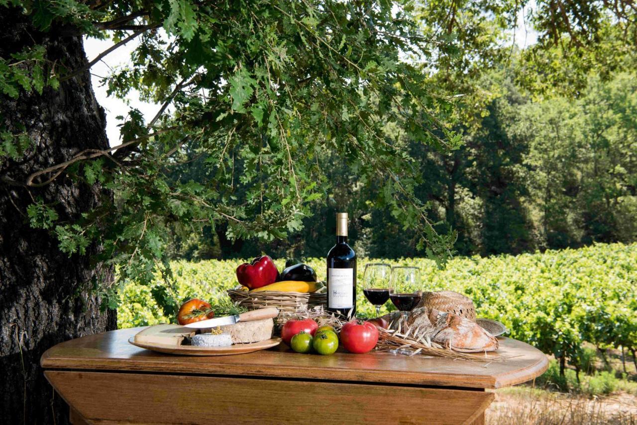 Bed and Breakfast Bastide De Fave Brue-Auriac Экстерьер фото